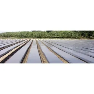 Compra SOTRAFILM NG (100 gg) - ANCHO 4,00 METROS en la tienda online Fito Agrícola