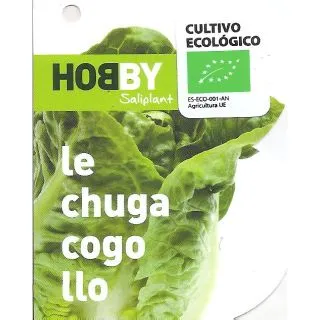 Compra LECHUGA COGOLLO ECOLÓGICA MSE6 en la tienda online Fito Agrícola