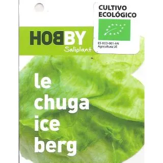 Compra LECHUGA ICEBERG ECOLÓGICA MSE6 en la tienda online Fito Agrícola