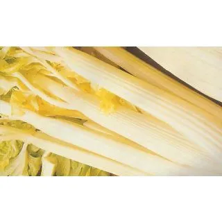 Compra APIO BLANCO MS6 en la tienda online Fito Agrícola