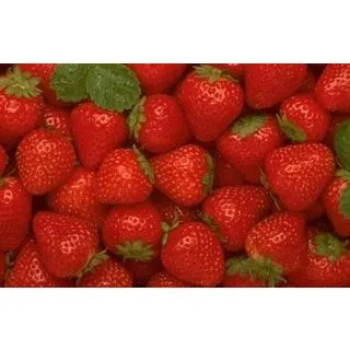 Compra FRESA MS4 en la tienda online Fito Agrícola