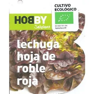 Compra LECHUGA HOJA DE ROBLE ROJA ECOLÓGICA MSE6 en la tienda online Fito Agrícola