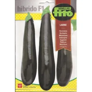 Compra BERENJENA LARNE F1 (70 Semillas) en la tienda online Fito Agrícola