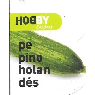 Compra PEPINO HOLANDÉS ECOLÓGICO MSE6 en la tienda online Fito Agrícola