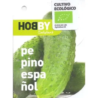 Compra PEPINO ESPAÑOL (Injertado) MS4 en la tienda online Fito Agrícola