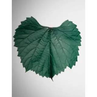 Compra PATRON 110 RICHTER en la tienda online Fito Agrícola