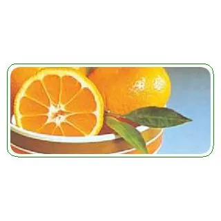 Compra MANDARINO SATSUMO OWARI - 17 en la tienda online Fito Agrícola