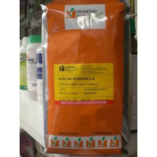 Compra ACELGA RONDINELLA (50.000 Semillas) en la tienda online Fito Agrícola