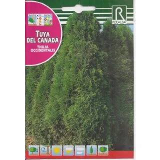 Compra TUYA DEL CANADÁ (0,5 gr.). en la tienda online Fito Agrícola