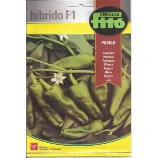 Compra PIMIENTO POXIGO F1 (Cerca de 60 Semillas). en la tienda online Fito Agrícola