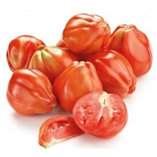 Compra TOMATE CUOR DI BUE M11 en la tienda online Fito Agrícola