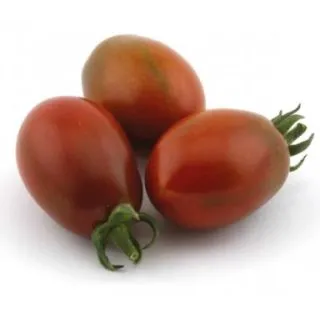 Compra TOMATE MORENITO (Injertado) M11 en la tienda online Fito Agrícola
