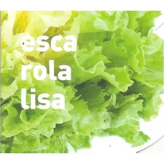 Compra ESCAROLA LISA ECOLÓGICA MSE6 en la tienda online Fito Agrícola