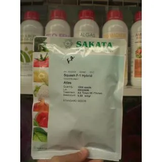 Compra CALABAZA ATLAS F1 (1000 Semillas). en la tienda online Fito Agrícola