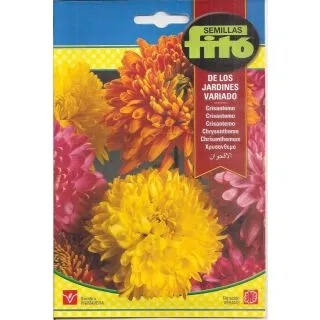 Compra CRISANTEMO DE LOS JARDINES VARIADO (2 gr.). en la tienda online Fito Agrícola