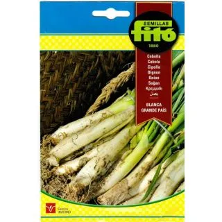 Compra CEBOLLA BLANCA GRANDE DEL PAIS (7 gr.). en la tienda online Fito Agrícola