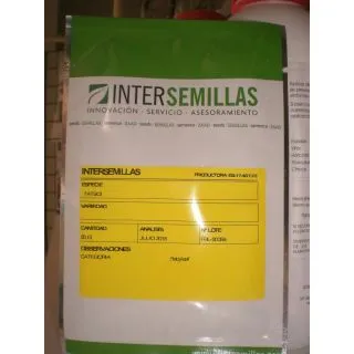 Compra TATSOI BABY LEAF (50 gr.) en la tienda online Fito Agrícola