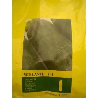 Compra CALABACÍN BRILLANTE F1 (1.000 Semillas) en la tienda online Fito Agrícola