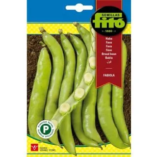 Compra HABA FABIOLA (25 Semillas). en la tienda online Fito Agrícola