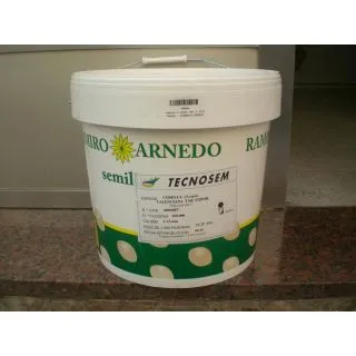 Compra CEBOLLA VALENCIANA DE EXPORTACIÓN Sel. Rita Pildorada (500.000 Semillas) en la tienda online Fito Agrícola