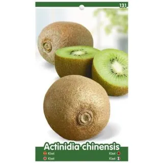 Compra KIWI HAYWARD K5 - Hembra en la tienda online Fito Agrícola