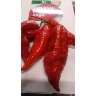 Compra PIMIENTO PICANTE NAGA EPS150 en la tienda online Fito Agrícola