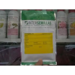 Compra RÚCULA COMÚN BABY LEAF (100 gr.). en la tienda online Fito Agrícola