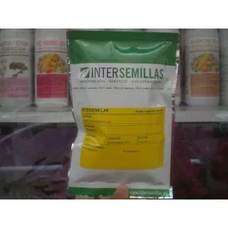 Compra CILANTRO SLOWBOLT (100 gr.). en la tienda online Fito Agrícola