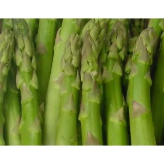 Compra ESPÁRRAGO F1 EPS 104 en la tienda online Fito Agrícola