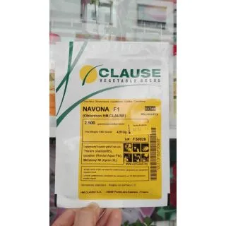 Compra ROMANESCO NAVONA F1 Peliculado (2.500 Semillas) en la tienda online Fito Agrícola