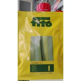 Compra CALABACÍN LUCERO F1 (1.000 Semillas) en la tienda online Fito Agrícola