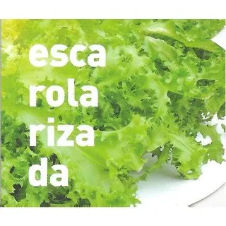 Compra ESCAROLA RIZADA ECOLÓGICA MSE6 en la tienda online Fito Agrícola