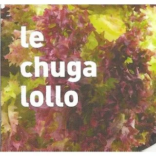 Compra LECHUGA LOLLO ECOLÓGICA MSE6 en la tienda online Fito Agrícola