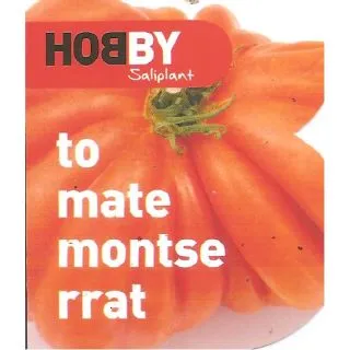Compra TOMATE MONTSERRAT MS6 en la tienda online Fito Agrícola