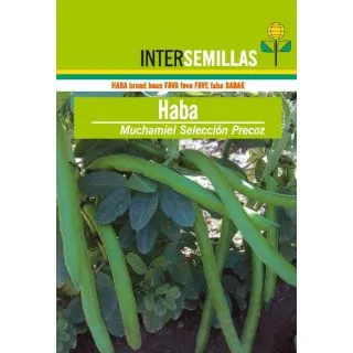 Compra HABA MUCHAMIEL PRECOZ Sel. Intersemillas (25 Kgr.) en la tienda online Fito Agrícola