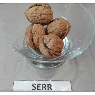 Compra NOGAL SERR en la tienda online Fito Agrícola