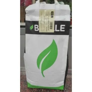 Compra ESPINACA VIROFLAY (5 Kgr.). en la tienda online Fito Agrícola