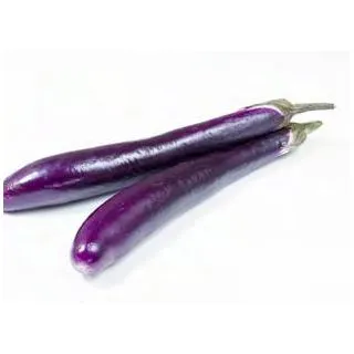 Compra BERENJENA JAPONESA M11 en la tienda online Fito Agrícola