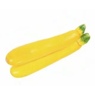 Compra CALABACIN AMARILLO MS6 en la tienda online Fito Agrícola