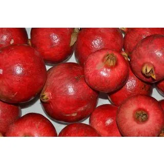 Compra GRANADO WONDERFULL en la tienda online Fito Agrícola