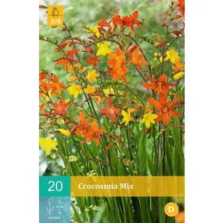 Compra CROCOSMIA MIX en la tienda online Fito Agrícola