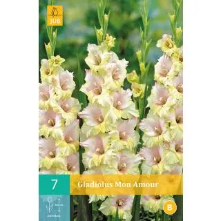 Compra GLADIOLO MON AMOUR en la tienda online Fito Agrícola