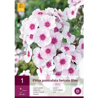 Compra PHLOX PANICULATA SWIZZLE BLUE en la tienda online Fito Agrícola