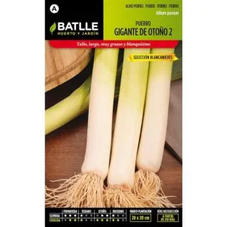 Compra PUERRO GIGANTE DE OTOÑO 2 Sel. Blancanieves (5 gr.) en la tienda online Fito Agrícola