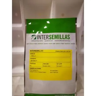 Compra CEBOLLA SOUTHPORT WHITE GLOBE F1 (5.000 Semillas) en la tienda online Fito Agrícola