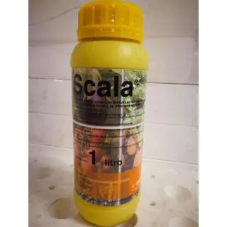 Compra SCALA (1 l.). en la tienda online Fito Agrícola