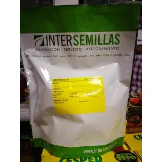 Compra MELÓN PIEL DE SAPO REQUEN (500 gr.). en la tienda online Fito Agrícola