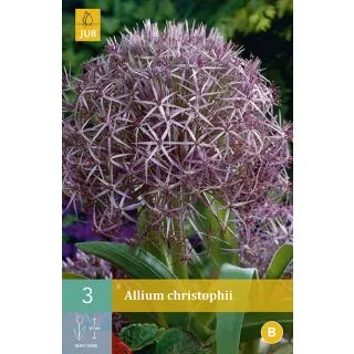 Compra ALLIUM CHRISTOPHII en la tienda online Fito Agrícola