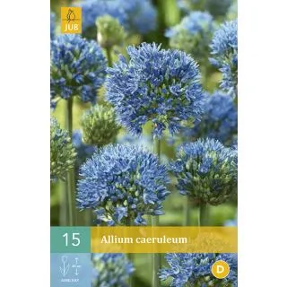 Compra ALLIUM CAERULEUM en la tienda online Fito Agrícola