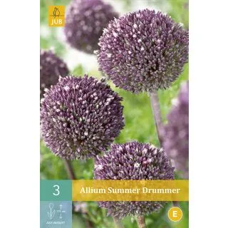 Compra ALLIUM SUMMER DRUMMER en la tienda online Fito Agrícola